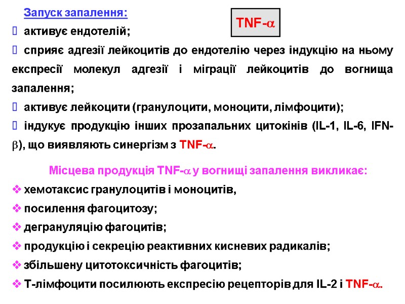 Запуск запалення: активує ендотелій; сприяє адгезії лейкоцитів до ендотелію через індукцію на ньому експресії